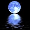 Blue M.